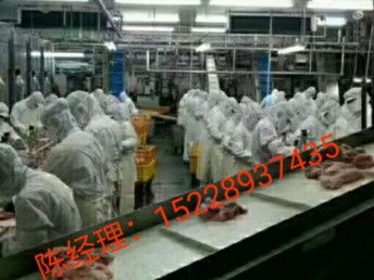 出國勞務 抓住國外雇主直招機遇，建筑工與工廠普工月薪高達3.5萬，天津移民與建筑工程新選擇