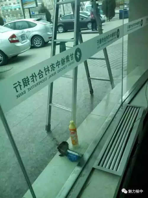 榆中永潔家政 用心服務，潔誠為你，水暖改造的放心之選