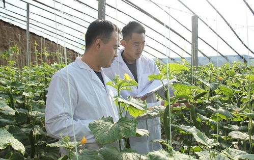 安丘百名檢測(cè)員一線(xiàn)把關(guān)，筑牢“舌尖安全”防護(hù)網(wǎng)