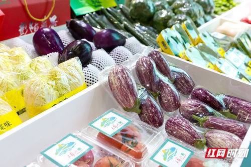 借食餐會打開外銷窗口 寧夏固原赴長沙推介農文旅產品